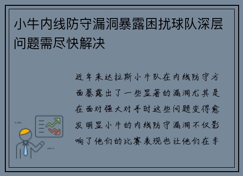 小牛内线防守漏洞暴露困扰球队深层问题需尽快解决